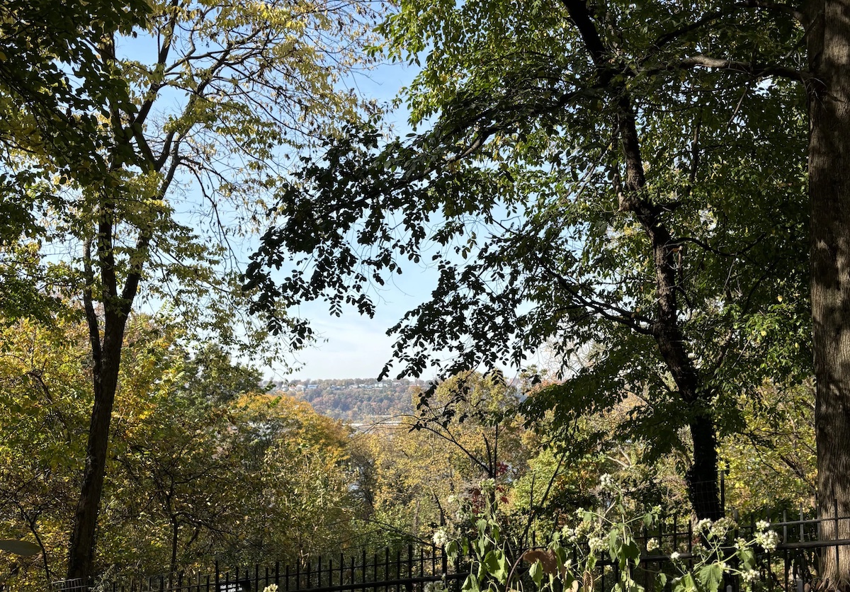 View of fall trees over Riverside Park