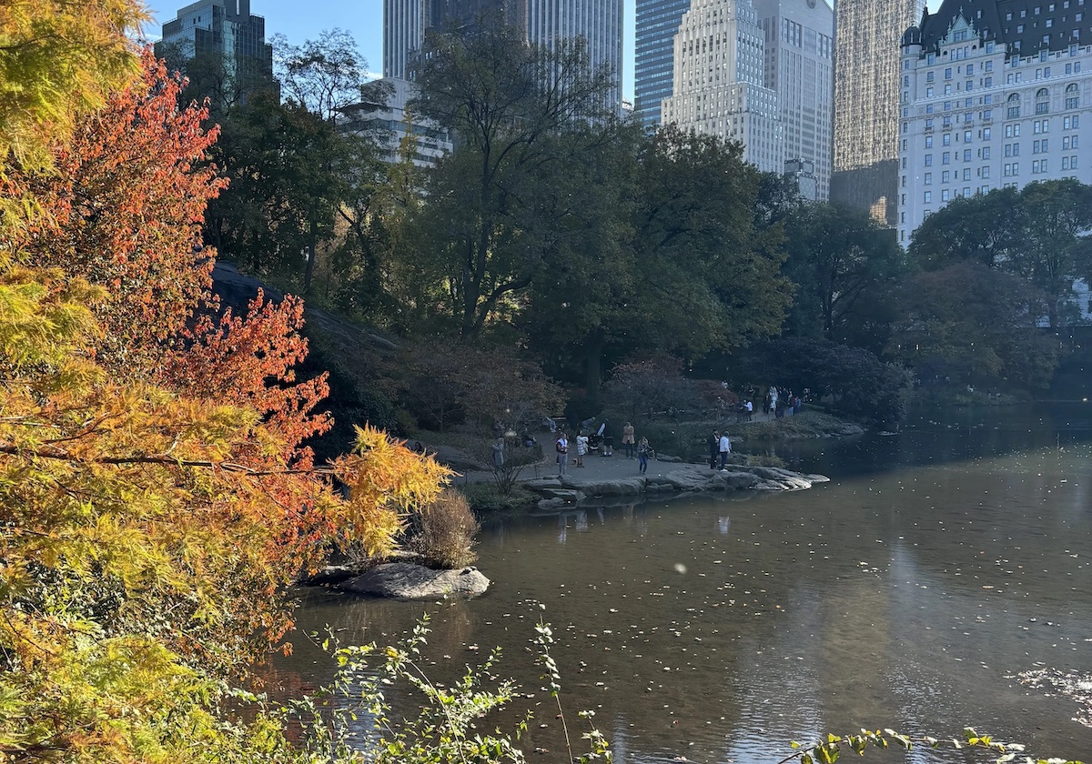 The pond in Central Park with fall foliage on the left side.
