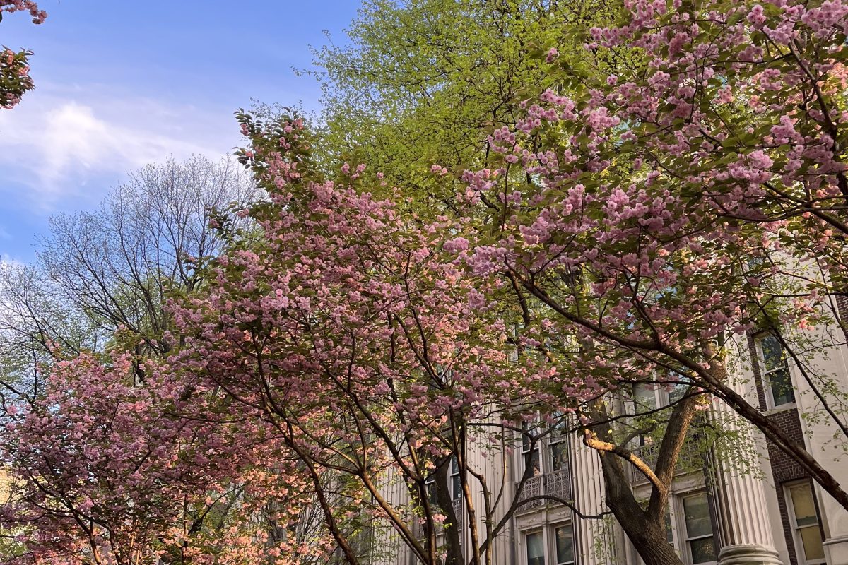 The Best Things to do in New York This Spring