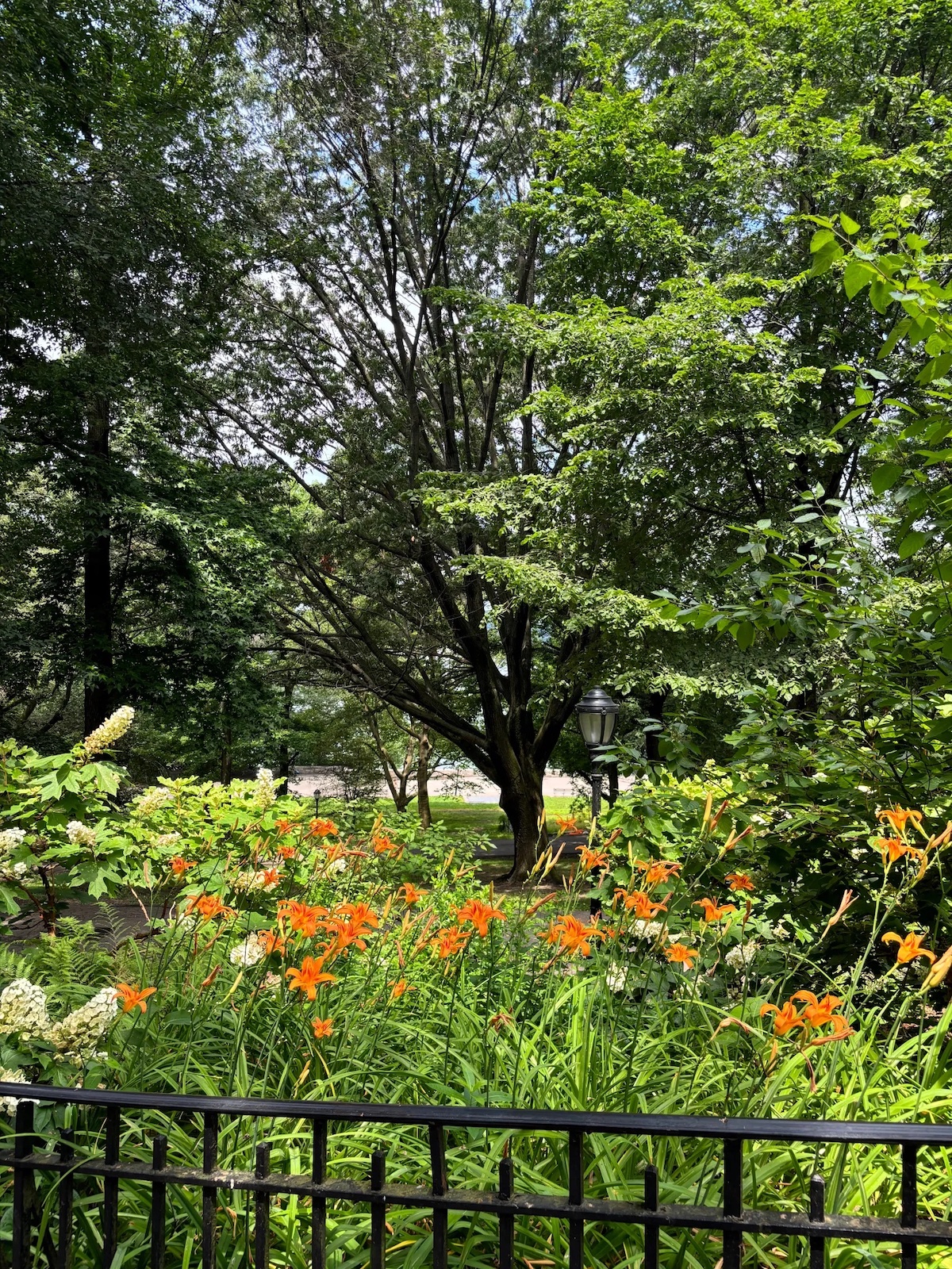 Orange flowers and green trees in Riverside Park on a sunny day.