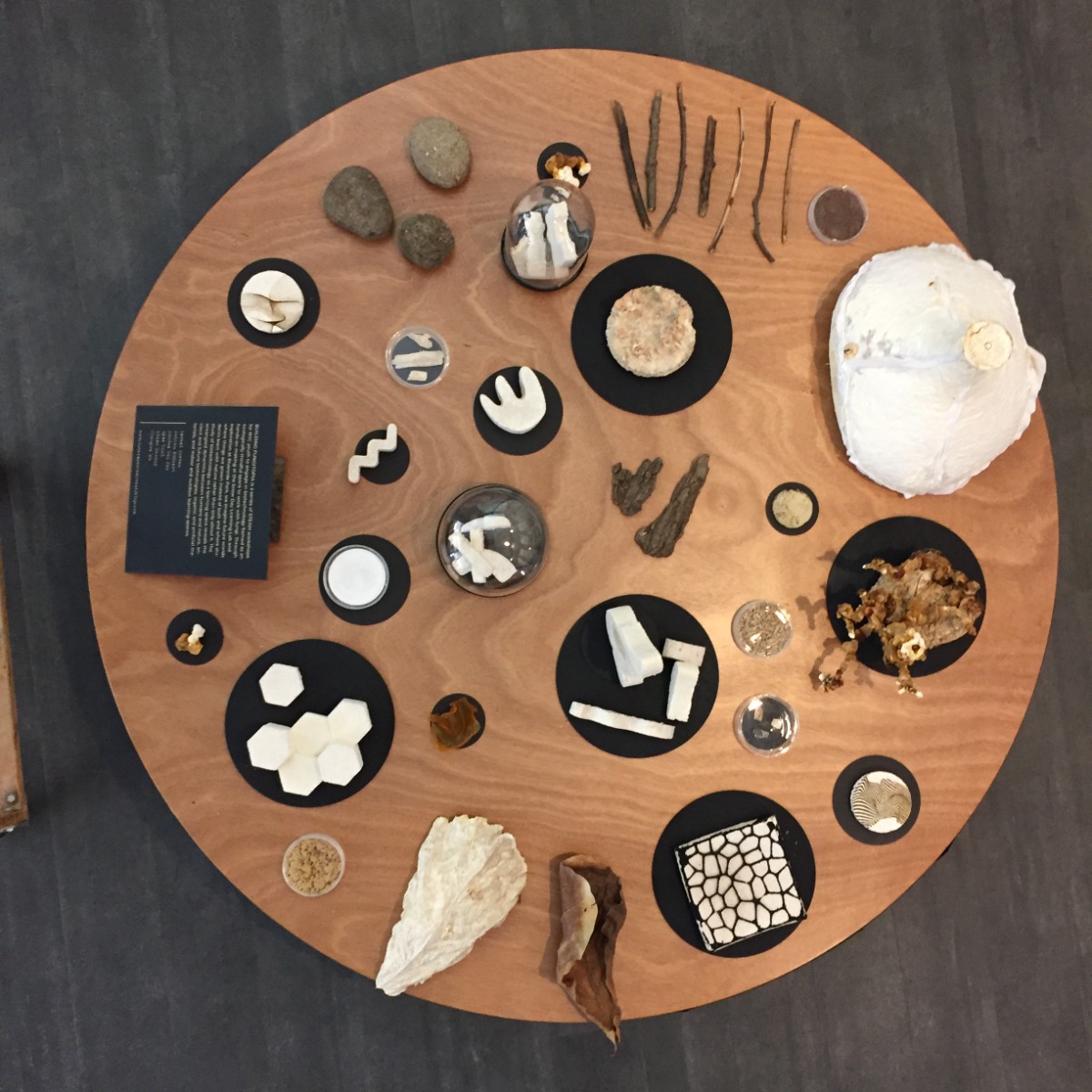 bird's eye view of circle table with mycelium and mushroom sculptures