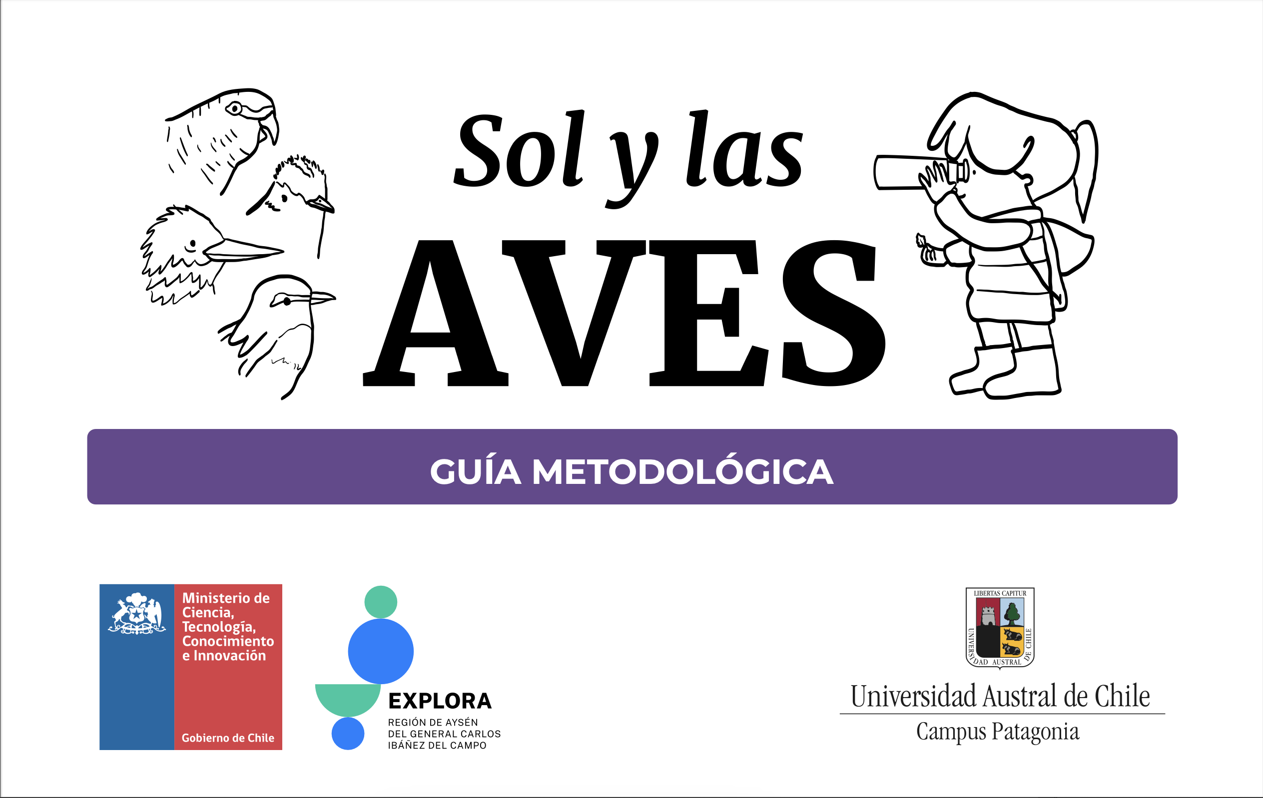 Aves 1