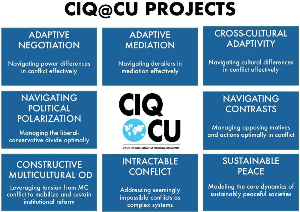 Adaptive negotiation; Adaptive meditation; Cross-cultural adaptivity; Navigating political polarization; Navigating contrasts; Constructive multicultural OD; Intractable conflict; Sustainable peace