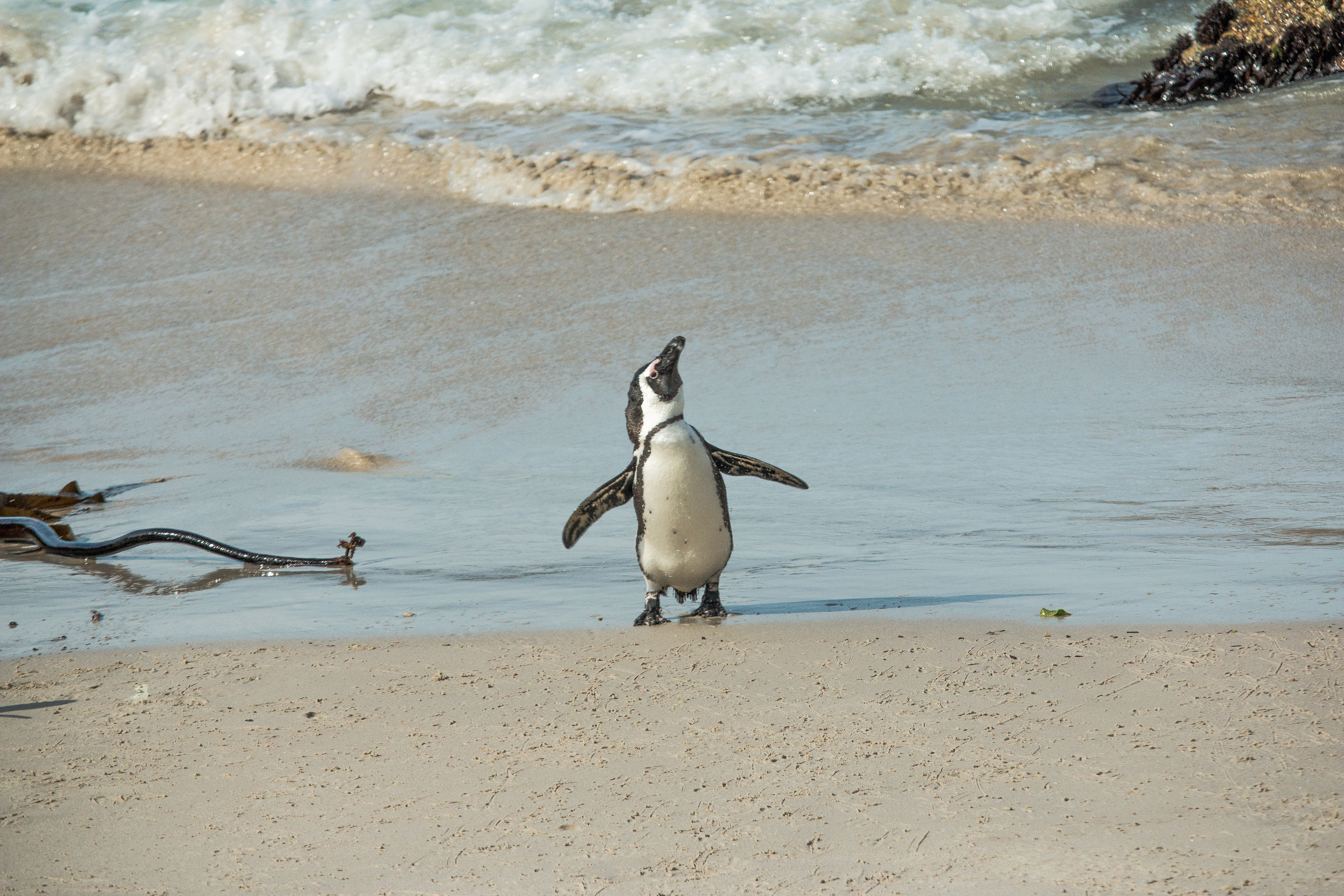 Nature & Ecology Image 3