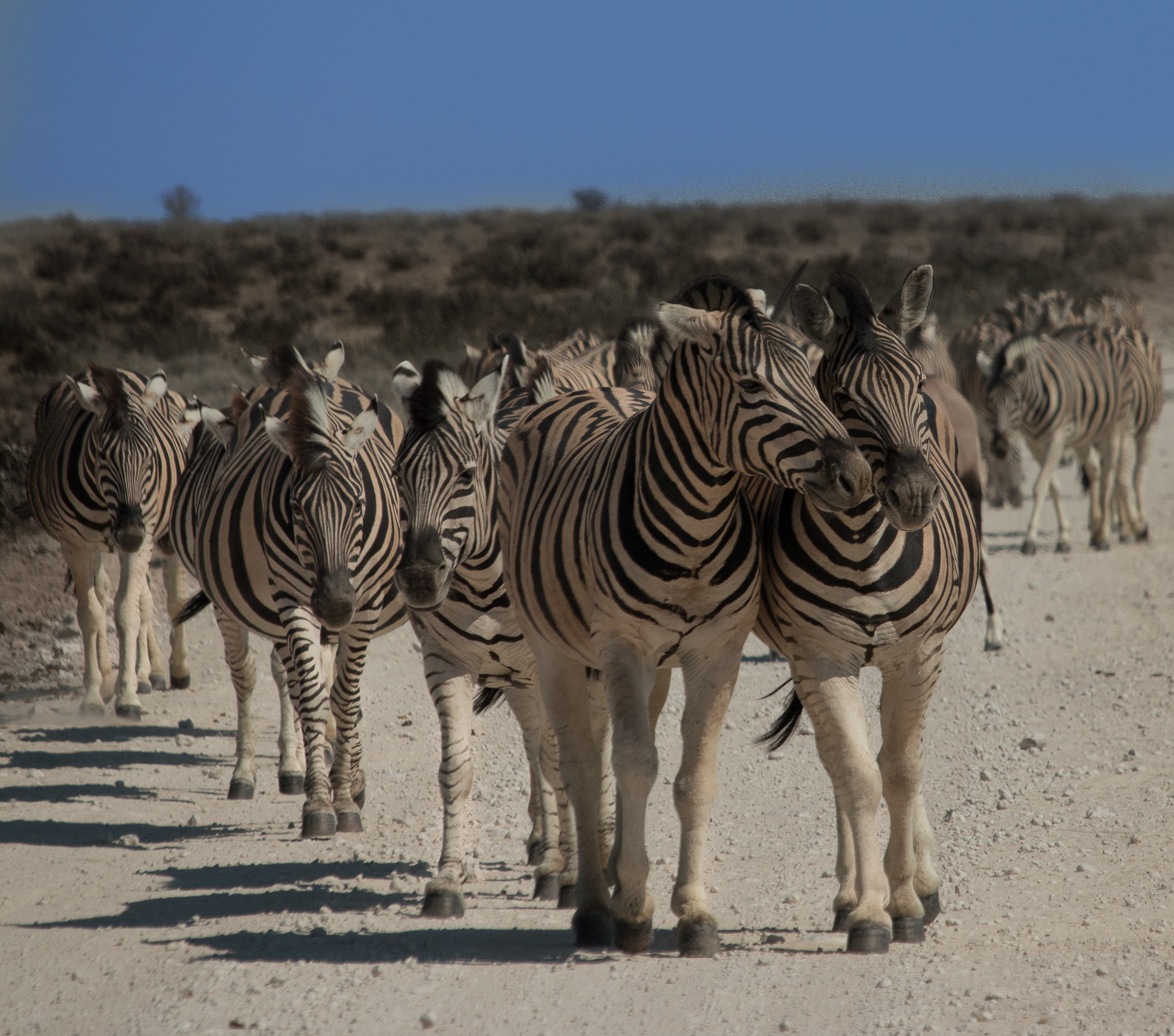 Nature & Ecology Image 4