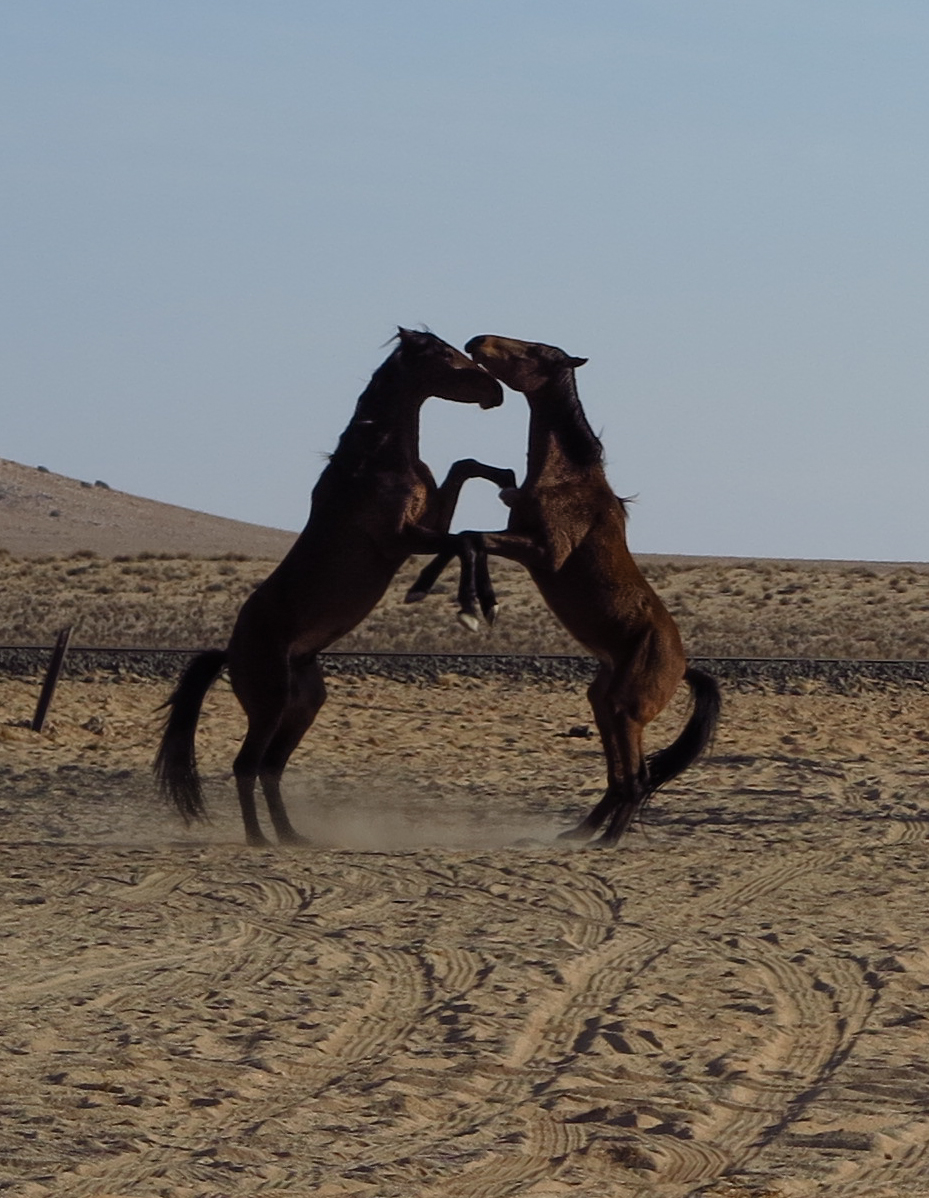 Nature & Ecology Image 5