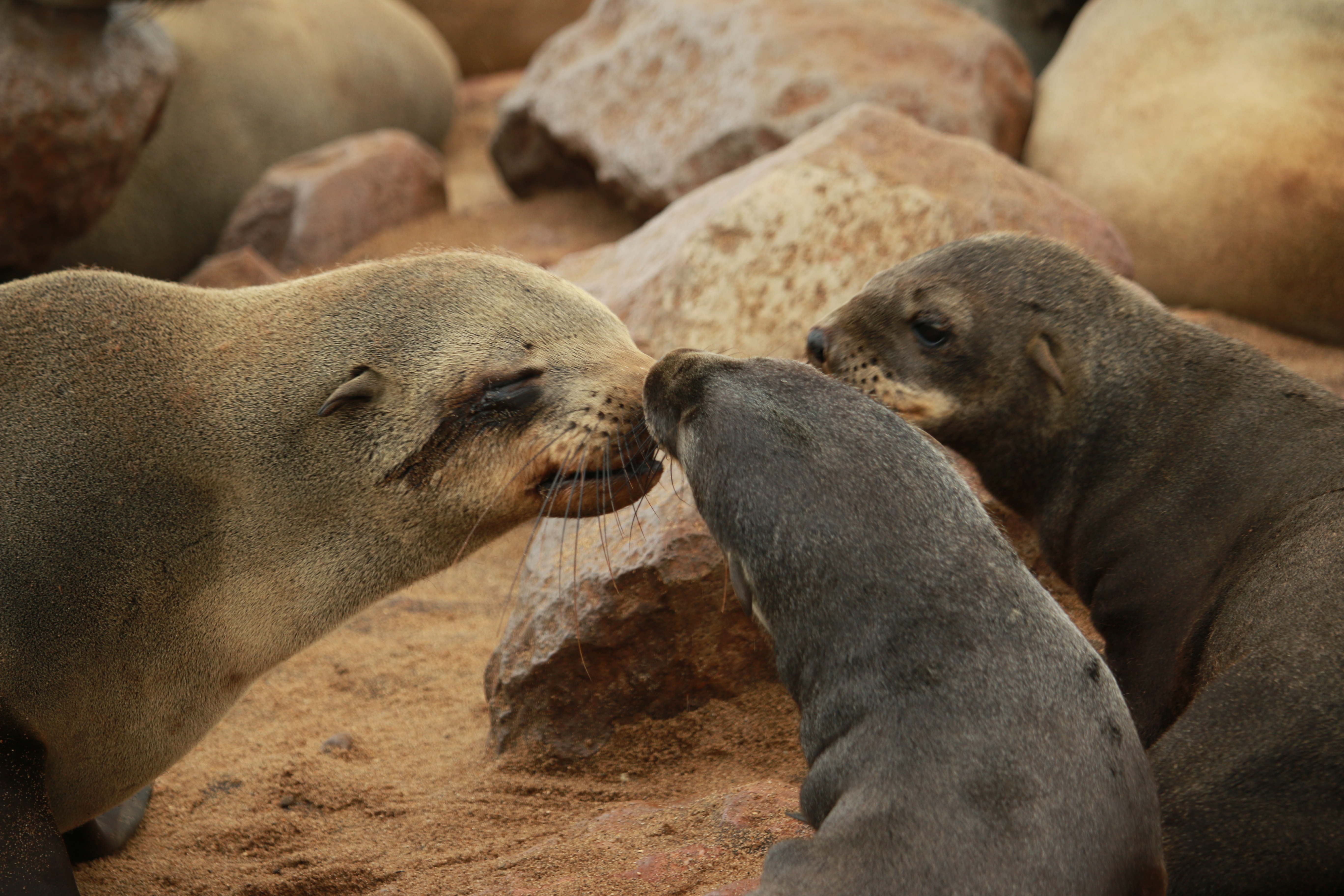 Nature & Ecology Image 2