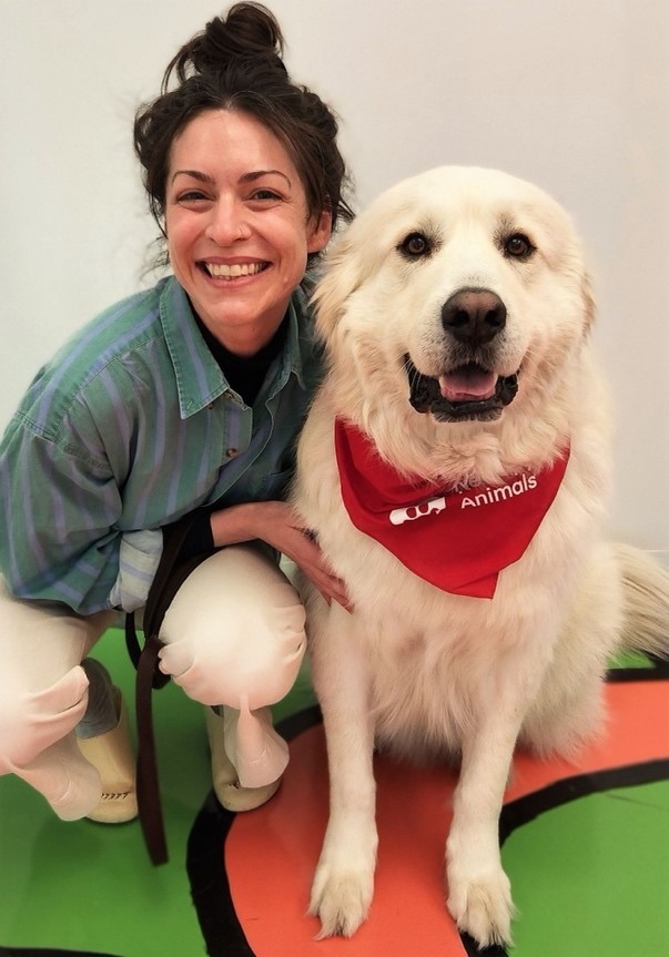 Kris Walker profile pic