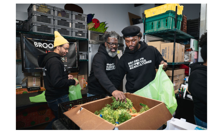 People packing farm boxes