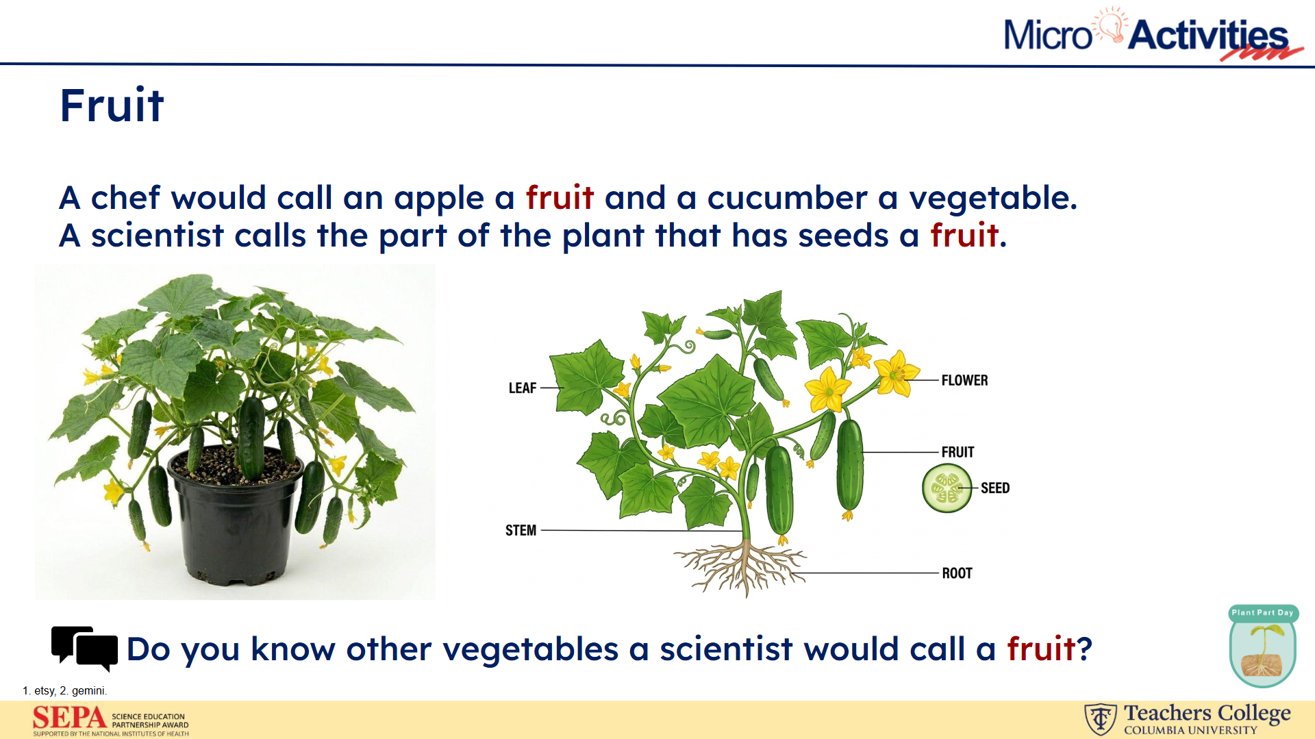 Part of a Micro-Activity where students learn about fruit.
