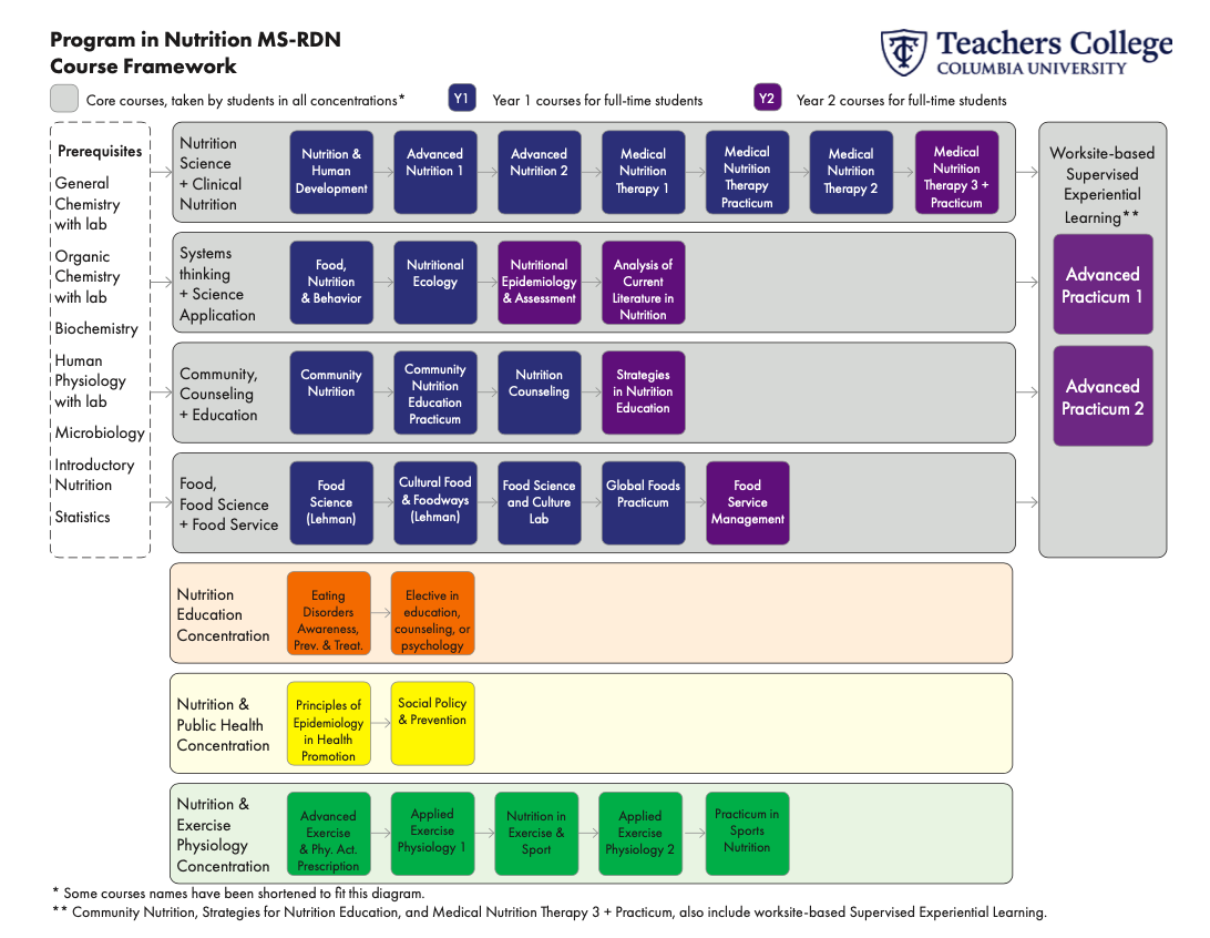 Diagram showing flow of courses from prerequisites through Year 2 of the program.