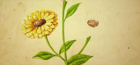 Untitled_08_Children's_Art_of_India