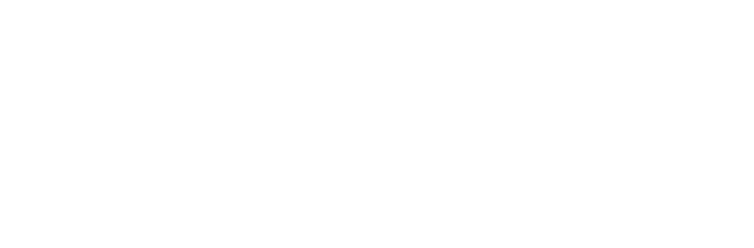 Public Good Initiative Logo White