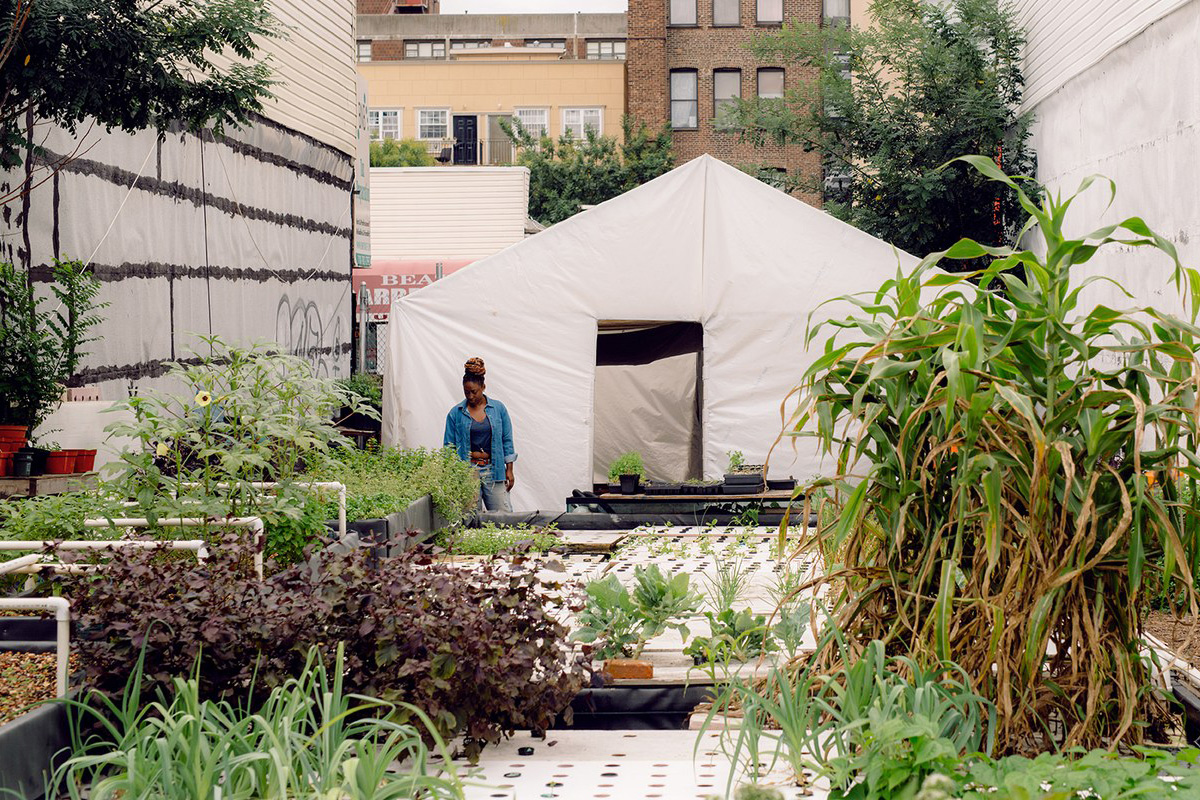 Oko Famrs in the Bushwick neighborhood of Brooklyn, NY, photographed by Caroline Tompkins for Vogue