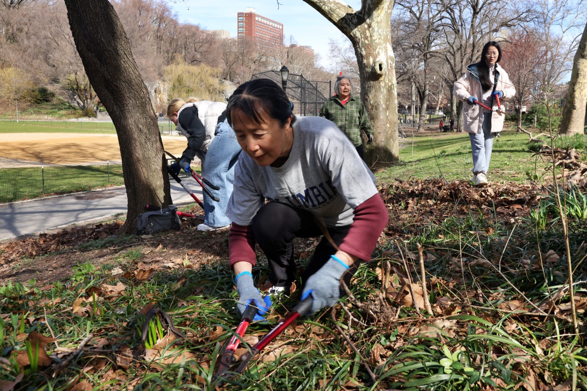 impact_day_24_cleanup_gilbert_032