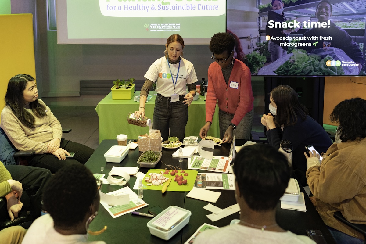 A group of adults learn how to make a classroom hydroponics system