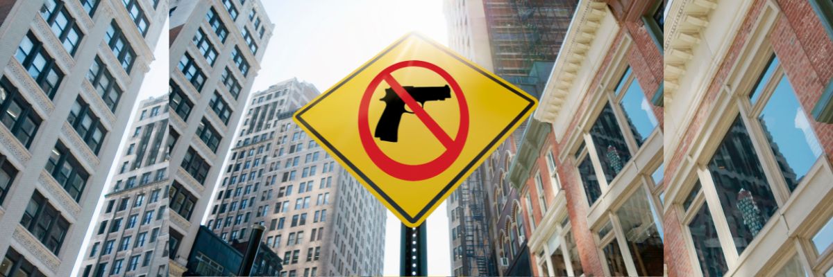 Gun Violence mayoral issue